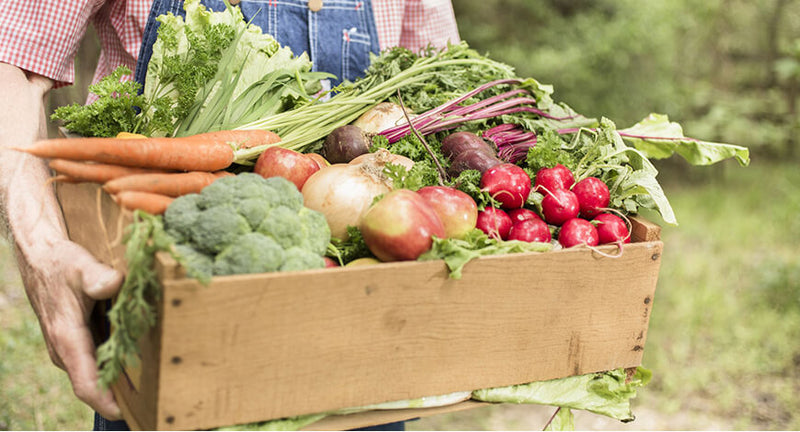 Indignation and dislike men