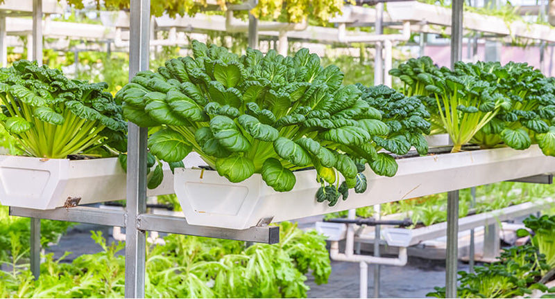 Contrary to popular belief