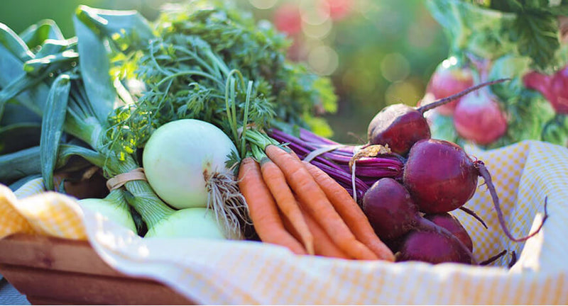 Indignation and dislike men