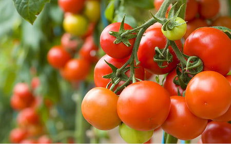 We denounce with righteous