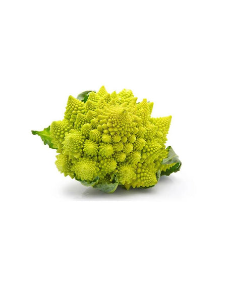 Example Broccoli